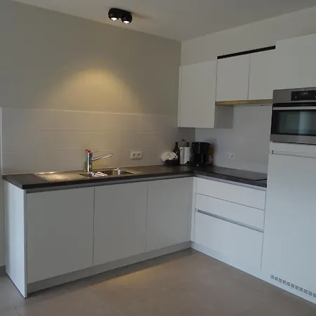 Karthuizer E4 Located Between The Dunes ניופורט